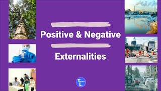 Positive And Negative Externalities Economics Lesson for Students [upl. by Inalaek]