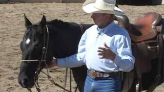 Horse Training Tips  Using A HeadSetter part 1 [upl. by Oniratac198]