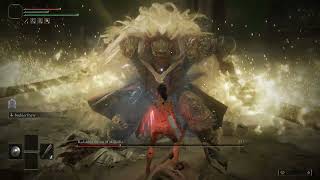 Elden Ring DLC  Promised Consort Radahn RL1 0 Blessing Parry Kill No Damage [upl. by Eiten160]