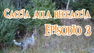 Beccacce d’Appennino… Caccia alla beccaccia 2024 Ep3  Woodcock hunting 2024  Ep3 [upl. by Elkin]