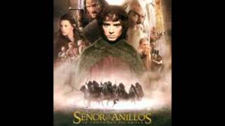 El señor de los anillos la comunidad del anillo  BSO  Howard Shore [upl. by Bartko96]