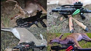 Every Pistol Crossbow Deer Hunt23‐24 Season [upl. by Simpson]