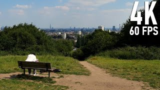 Ultimate Hampstead Heath Walk From Parliament Hill to the Pergola [upl. by Schaffer319]