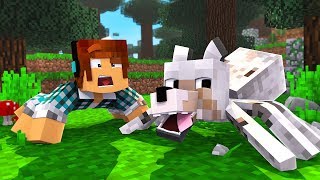 ARANHA LOBO    Vida de Aranha 18   Minecraft [upl. by Takashi]