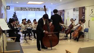 20171209 ドラゴネッティ コントラバス協奏曲1楽章 Dragonetti Double Bass Concerto in A major Mov1 [upl. by Ahsitan]