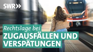 Fahrgastrechte der Deutschen Bahn im Überblick I Marktcheck SWR [upl. by Ahtan]