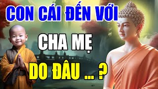 CON CÁI VÀ CHA MẸ Ở Kiếp Này Không DUYÊN NỢ Làm Sao Gặp Gỡ Nên Nghe Để Hiểu RõGiác Ngộ Thân Tâm [upl. by Nixon597]