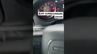 Ripp supercharger whine [upl. by Aronek]