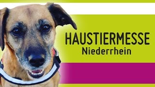 Heimtiermesse Niederrhein Miyukis♥Vlog [upl. by Gazzo]