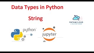 6 String Datatypes  Bonus Information [upl. by Bella]