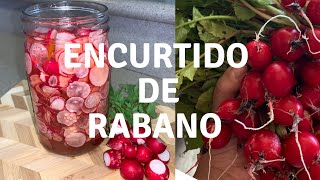 Receta Encurtido De Rábano Super Fácil 😋 encurtidoderabanos rabanos [upl. by Parsaye874]