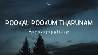 Pookal pookum tharunam song tamil Lyrics  Madarasapattinam Movie [upl. by Mendelsohn]