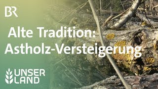 Alte Tradition Versteigerung von Astholz  Unser Land  BR Fernsehen [upl. by Odnomar]