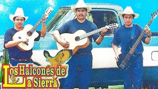 Dueto Los Halcones De La Sierra  12 Corridos y Canciones Album Completo [upl. by Takashi]