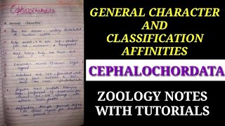 GENERAL CHARACTER AND CLASSIFICATION OF CEPHALOCHORDATA IN HINDI cephalochordatanotes zoology vbu [upl. by Atilrahc]