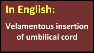 Velamentous insertion of umbilical cord spanish MEANING [upl. by Niltac]