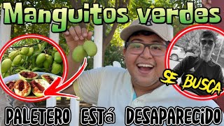 TEMPORADA DE MANGUITOS VERDES 😋🥭 que está pasando con el Paletero 🤔EDVAN SHOW [upl. by Wylen]