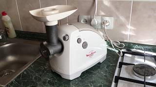 Moulinex meat grinder review best Moulinex meat grinder [upl. by Anavoig327]