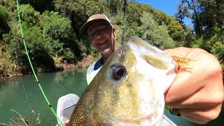 Bass Fishing Lake Shasta May 2024 [upl. by Chun863]