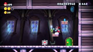 Frosted Glacier  Swaying Ghost House New Super Mario Bros Wii U [upl. by Leunamnauj]