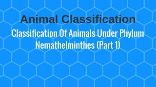 Classification Of Animals Under Phylum Nemathelminthes Part 1 [upl. by Nwadrebma773]