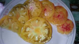 Pineapple Tomato review [upl. by Sokim]