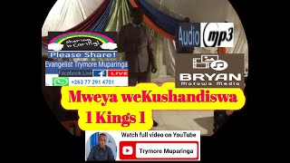 Evangelist Trymore Muparinga  Mweya weKushandiswa [upl. by Jud717]