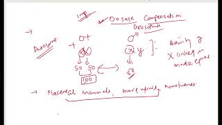 DOSAGE COMPENSATION IN DROSOPHILA [upl. by Cirtemed79]