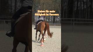 Slalom reiten für mehr Rittigkeit im Parcours unserenpferdengehtesgut schlossgestütgadow reiten [upl. by Dalston]