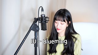 아이유IU  Blueming COVER by 보라미유 [upl. by Chinua]