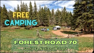 FREE Camping Boondocking Dispersed Camping FR 70 in Santa Fe National Forest New Mexico [upl. by Yleve352]