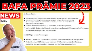 ENDLICH OFFIZIELL🚨 ELEKTROAUTO FÖRDERUNG BAFA PRÄMIE 2023  2024  EFIEBER [upl. by Pelmas]