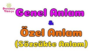 Genel ve Özel Anlamlı Sözcükler Sözcükte Anlam [upl. by Boudreaux15]