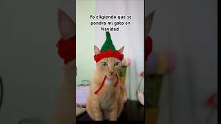 Navidad 🎄 gatos catlover humor navidad [upl. by Talya]