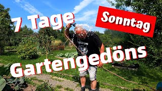 7 Tage Gartengedöns  Teil 1  Sonntag  Welcome to the Jungle [upl. by Singhal]