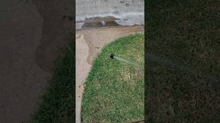 Autumn season 🎃 Sprinkler system walk thru 🛠️💦 water conservation onehomeatatime 2024 howto [upl. by Llenra]