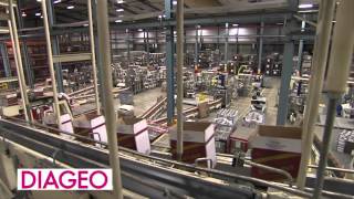 Diageo Excellence In Manufacturing Finalist [upl. by Mixam]