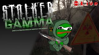 🔴 Live  STALKER GAMMA  Ironman starting over [upl. by Novled]