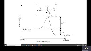 Diagramas de Energía Reacciones Exotérmica y Endotérmicas [upl. by Gnihc250]