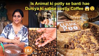 OMG दुनिया की सबसे महंगी कॉफ़ी बनती है इस जानवर की पोट्टी से 😱😲 Worlds costliest Luwak Poop Coffee [upl. by Sandie]