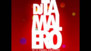 La Balada del Pistolero Dj Tamalero amp Dj Mecca Remix 2013 [upl. by Hedve57]