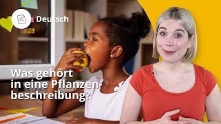 Pflanzenbeschreibung daran musst du denken – Deutsch  Duden Learnattack [upl. by Eniamurt491]