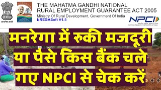 नरेगा मनरेगा लेबर पेमेंट बैंक पोर्टल से कैसे चेक करें। Nrega payment check NPCI portal [upl. by Aivalf]