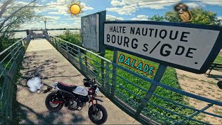 Balade avec le monstre 🐒 Bourg sur Gironde [upl. by Hassi]