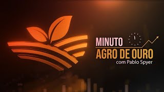 Milho e trigo sobem com Putin Carrefour mercados para China e Milei privatiza  Minuto Agro 2311 [upl. by Sully]