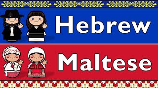 SEMITIC HEBREW amp MALTESE [upl. by Rhee]