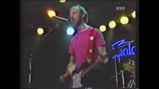 The Richard Thompson Band  Shoot Out The Lights live Hamburg 1983 [upl. by Victorie]