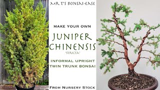 Juniper Chinensis Stricta  TwinTrunk Bonsai from Nursery Stock [upl. by Zosema998]