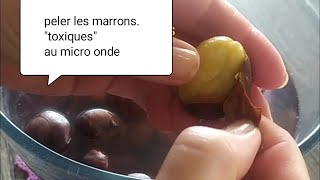 Comment peler les marrons quotvalable pour les CHÂTAIGNESquot au microondesenlever les 2 peaux dun coup [upl. by Louanna527]