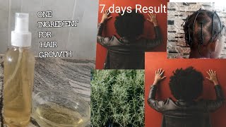 Miracle Hair Growth with Rosemary Water in 7 Days [upl. by Gaw]